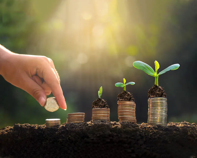 شام التنموية الخيرية